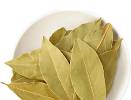 Bay Leaf